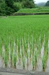 2007_0708_123815AA.JPG