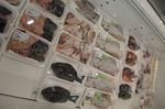 2007_0727_142709AA.JPG