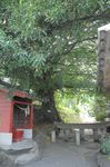 2007_0727_145700AB.JPG