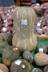 2007_0911_133748AA.JPG