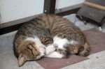 2007_0911_143632AA.JPG