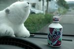 2007_0921_153213AA.JPG