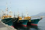 2008_0201_151835AA.JPG