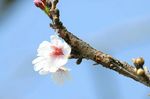 2008_0315_144103AC.JPG