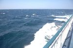 2008_1002_110509AB.JPG