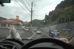 2009_1110_085347AB.JPG