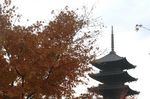 2009_1210_083957AB.JPG