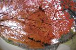 2009_1210_091907AB.JPG