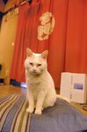2010_0419_203712AA.JPG