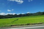 2010_0910_104016.jpg
