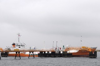 2010_1213_103054.JPG