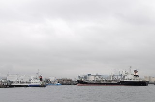 2010_1213_105113.JPG