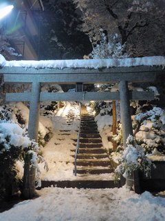 2011_0101_002759.JPG